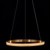 Love Reaction (Dimmable LED with Remote Control) Pendant Light