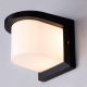 Off The Grid (Built-In LED) Indoor/ Outdoor Wall Light
