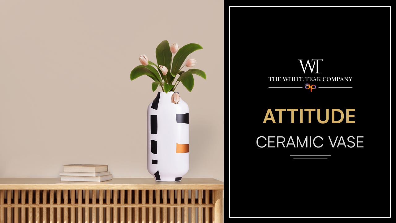DC43 10027 Attitude White Black Gold Ceramic Vase Full video