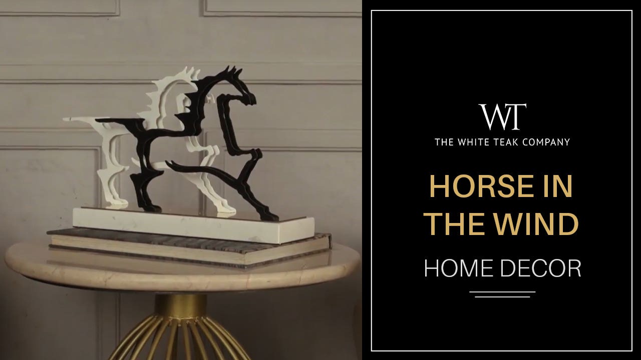 HORSE IN THE WIND DECOR EDIT VIDEO