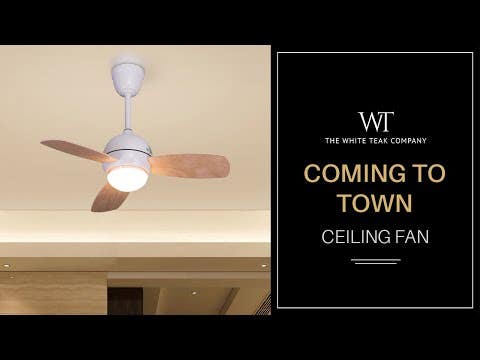 COMING TO TOWN LED CEILING FAN 1 Min